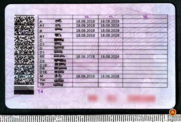 Белорус ездил с поддельными правами и не знал об этом Белорус ездил с поддельными правами и не знал об этом