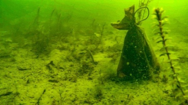 Что можно найти на дне водоема? Съемка подводным дроном возле Бреста
             
                Что можно найти на дне водоема? Съемка подводным дроном возле Бреста