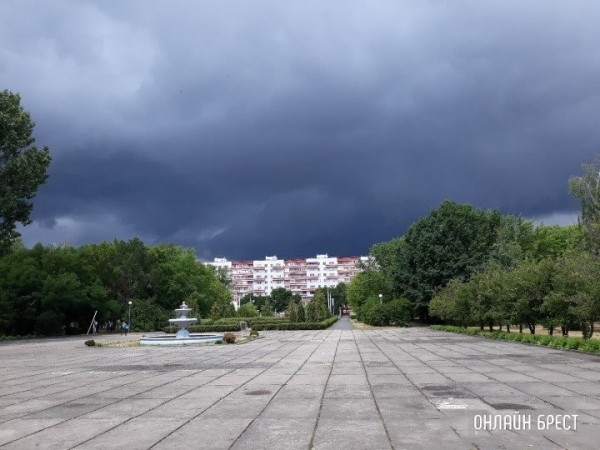 Сильный ветер сохранится в Беларуси 28 марта: что он уже наделал Сильный ветер сохранится в Беларуси 28 марта: что он уже наделал