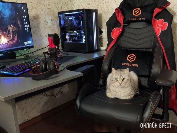 Читатели делятся фотографиями своих любимцев
             
                Читатели делятся фотографиями своих любимцев