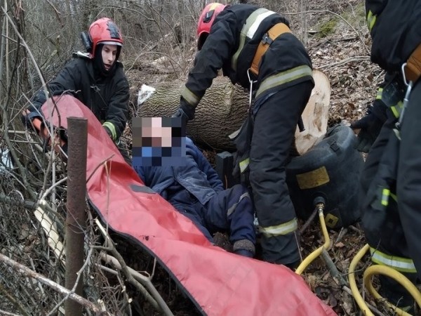 В Мозыре на мужчину упало дерево. Фото и видео