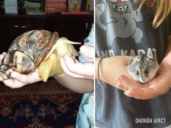 Читатели делятся фотографиями своих любимцев
             
                Читатели делятся фотографиями своих любимцев