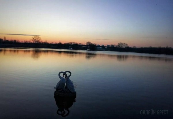 Читатель: Река и лебеди. Рассвет на Набережной Бреста
             
                Читатель: Река и лебеди. Рассвет на Набережной Бреста