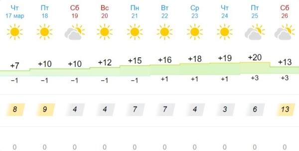 Метеорологи рассказали, когда на Брестчине потеплеет