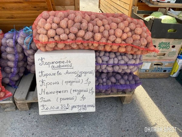 Читатель: Что почем на рынке за ЦУМом в Бресте
             
                Читатель: Что почем на рынке за ЦУМом в Бресте