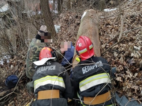 В Мозыре на мужчину упало дерево. Фото и видео
