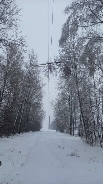 Электроснабжение восстановлено в большинстве пострадавших от непогоды населенных пунктов Брестской области