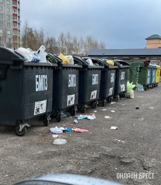 Читатель: акое происходит не редко.
             
                Читатель: акое происходит не редко.