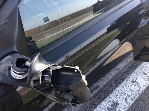 Названы трассы в Беларуси, где чаще всего случаются наезды на диких животных Названы трассы в Беларуси, где чаще всего случаются наезды на диких животных