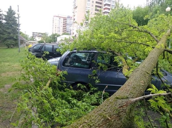Досталось и машине. Последствия непогоды в Бресте