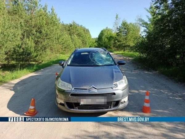 В Каменецком районе водитель автомобиля Citroen сбил велосипедиста В Каменецком районе водитель автомобиля Citroen сбил велосипедиста