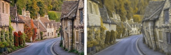 Разительная разница. Ученые показали, как видят мир люди и собаки Разительная разница. Ученые показали, как видят мир люди и собаки