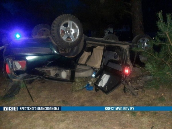 Водитель из Бреста на «Ауди» врезался в дерево и перевернулся. Погиб