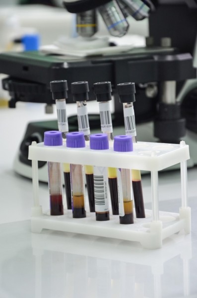 «ГОД СЕМЬИ» в ЛОДЭ. Обследования всей семьей в медцентре стали еще более доступными «ГОД СЕМЬИ» в ЛОДЭ. Обследования всей семьей в медцентре стали еще более доступными