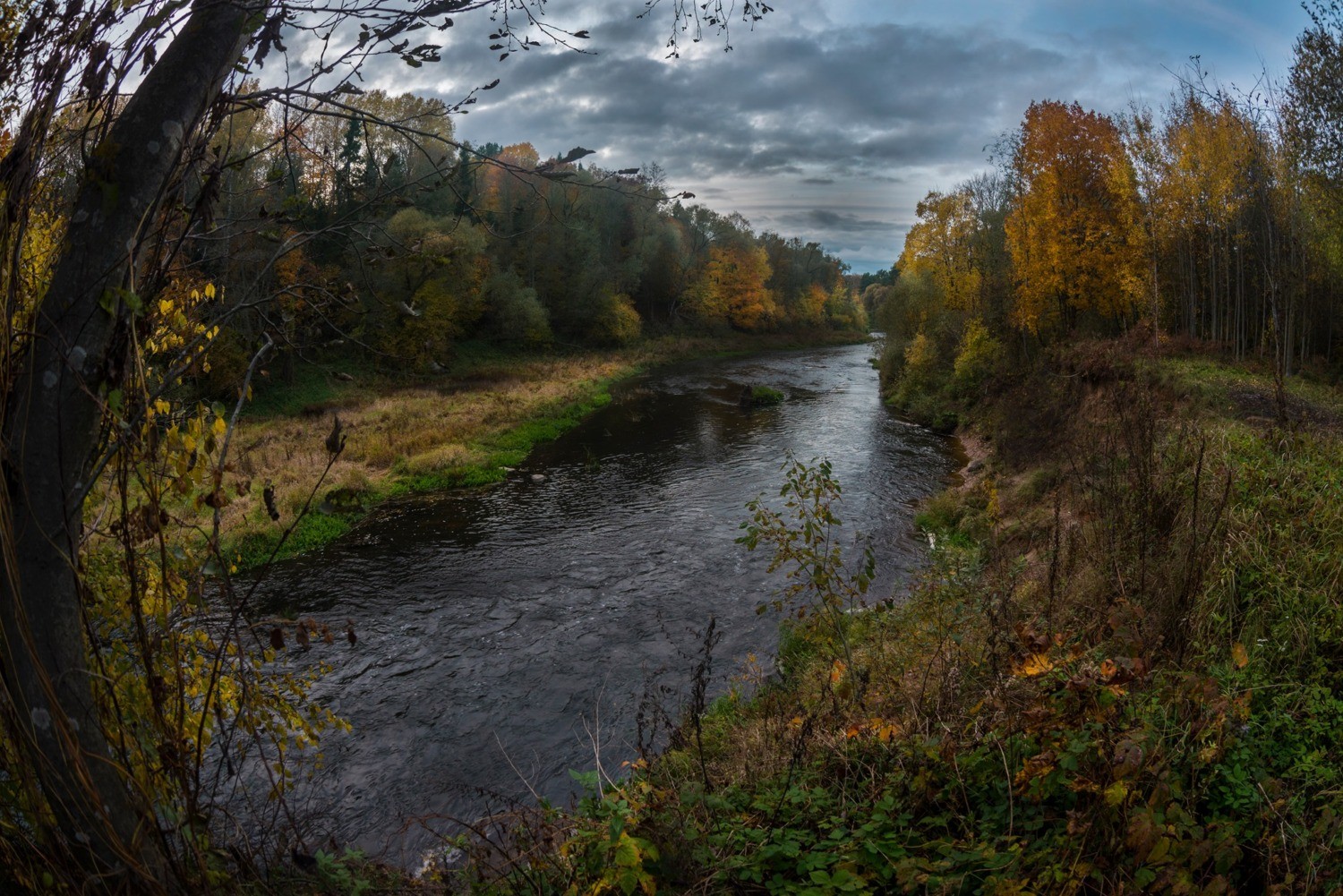 «Я будущую дочку назову твоим прекрасным именем — Лучёса» «Я будущую дочку назову твоим прекрасным именем — Лучёса»