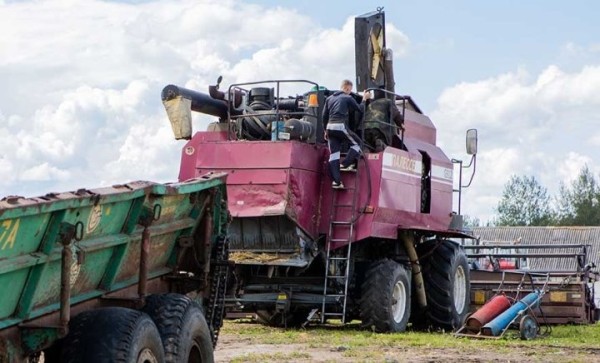 Сторожи похитили охраняемое имущество на сельхозпредприятии в Брестской области