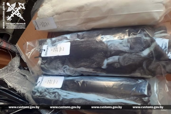 Шкурки шиншиллы по заниженной в 30 раз стоимости пытались провезти через «Козловичи» Шкурки шиншиллы по заниженной в 30 раз стоимости пытались провезти через «Козловичи»