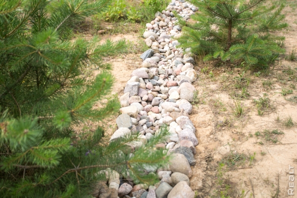 «Заткнула за пояс соседских мужей». История минчанки, которая сделала все сама: дом, мебель и даже сауну «Заткнула за пояс соседских мужей». История минчанки, которая сделала все сама: дом, мебель и даже сауну