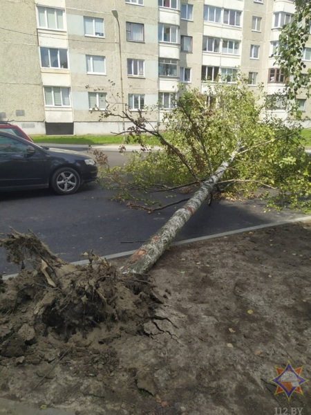 В МЧС рассказали, что натворила непогода в Брестской области