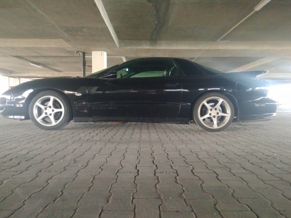 Показываем два редких Pontiac Firebird, которые есть в Беларуси Показываем два редких Pontiac Firebird, которые есть в Беларуси