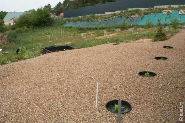 «Заткнула за пояс соседских мужей». История минчанки, которая сделала все сама: дом, мебель и даже сауну «Заткнула за пояс соседских мужей». История минчанки, которая сделала все сама: дом, мебель и даже сауну