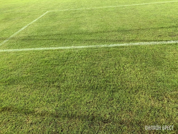 Футбольное поле с искусственным газоном в сентябре появится в Каменце
