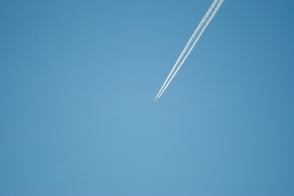 Денег нет: женщина попросила суд снизить штраф, а сама улетела на отдых  Денег нет: женщина попросила суд снизить штраф, а сама улетела на отдых