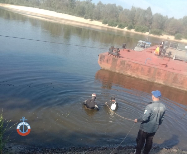 «Лада» скатилась в Припять в Гомельской области. Как это произошло?