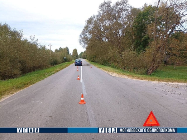 Пешеход шагнул навстречу автомашине и погиб в Могилевском районе Пешеход шагнул навстречу автомашине и погиб в Могилевском районе