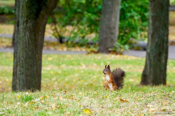 «Вместо брачной ночи собирали по квартире воду». Белорусы рассказывают истории самых диких коммунальных ЧП