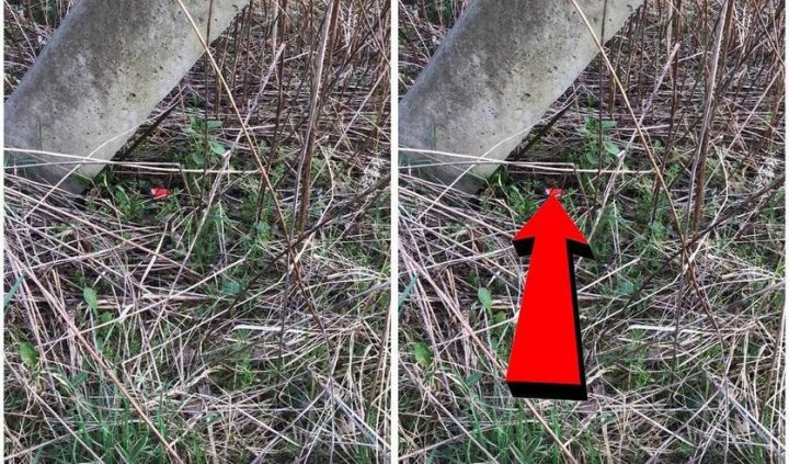 Трое брестчан задержаны сотрудниками милиции. За что? Трое брестчан задержаны сотрудниками милиции. За что?