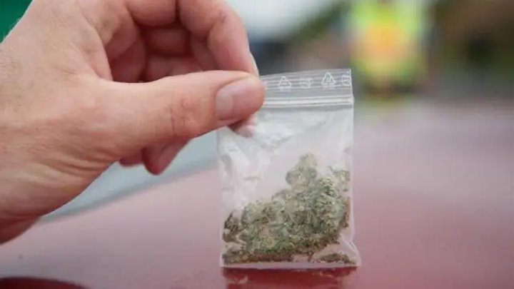 Суд в Бресте приговорил женщину к трем годам колонии за попытку провезти через границу марихуану